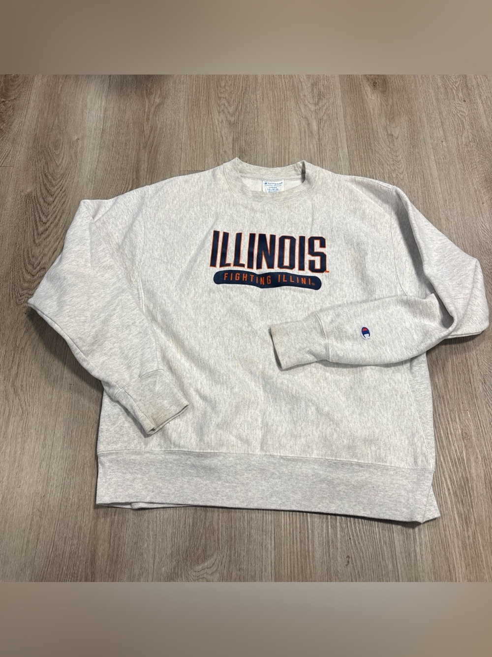 Vintage Champion Reverse Weave Sweatshirt Illinois Fighting Illini Size L 00s